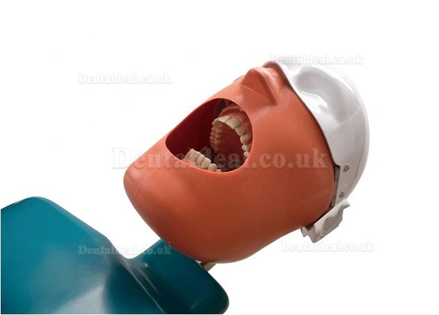 Jingle JG-A1 Phantom Head For Dental Students Dental Patient Simulation Unit Jingle JG-A1 Phantom Head For Dental Students Dental Patient Simulation Unit